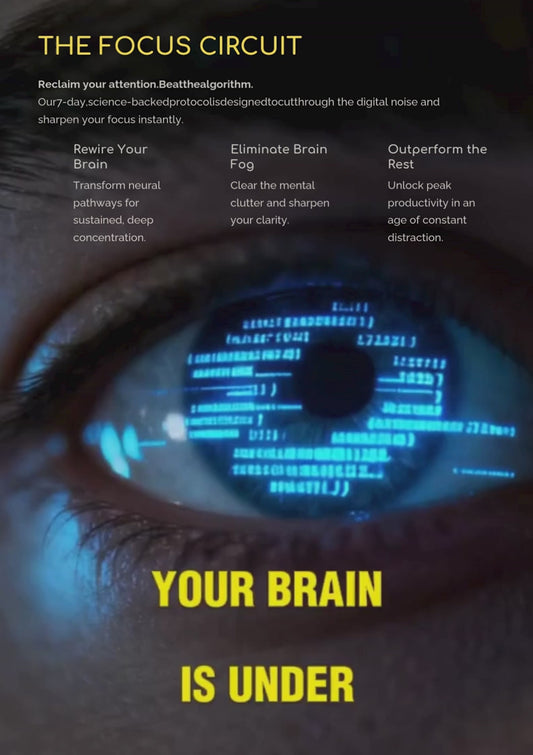The Focus Circuit Reclaim Focus From Distraction In 7 Days